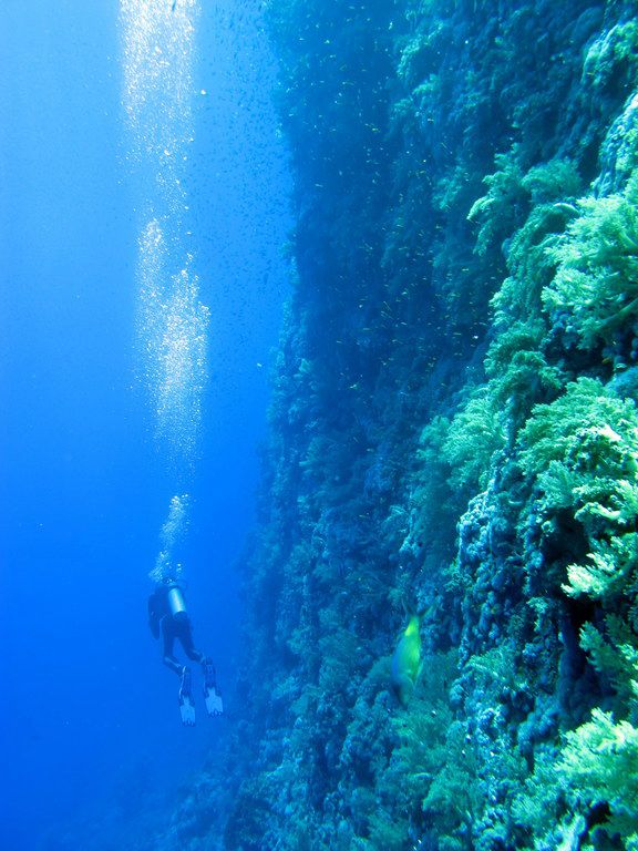 Clear blue water over rocky seabed on the northern Lebanese coast near Batroun